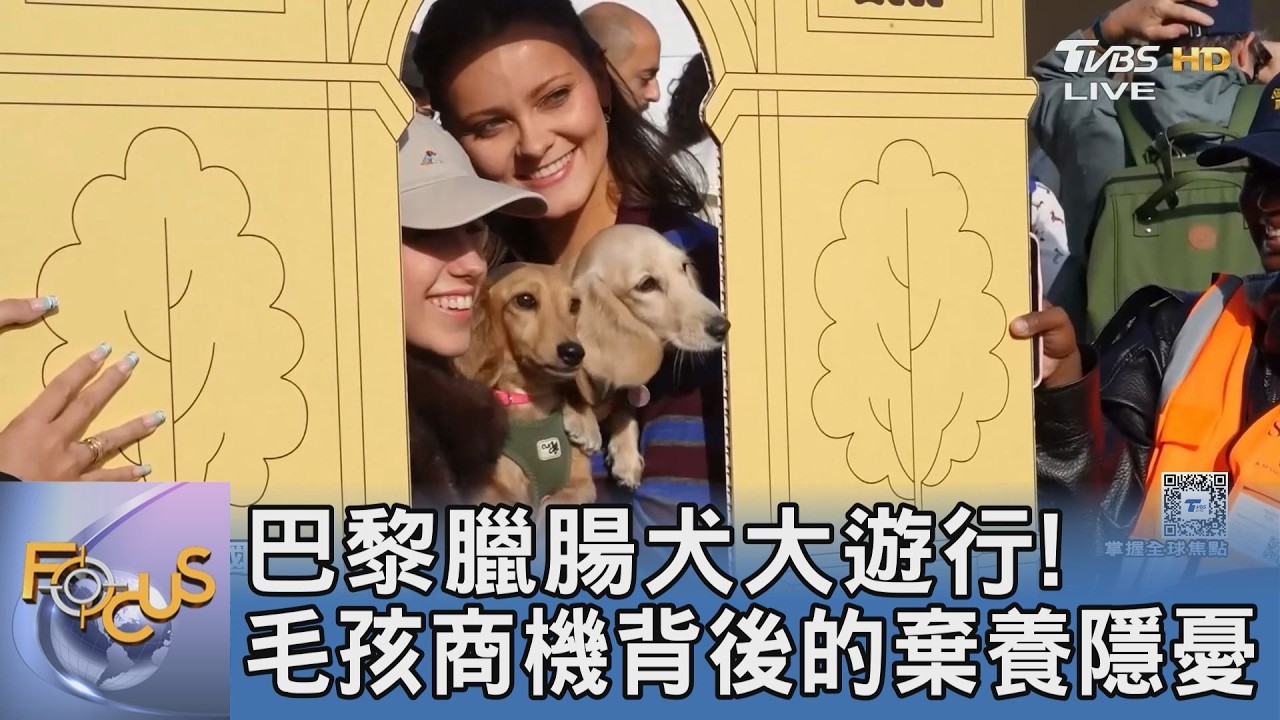 巴黎臘腸犬大遊行！毛孩商機背後的棄養隱憂