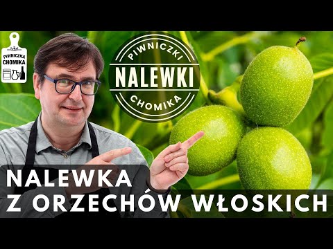 Green walnut tincture. Walnut tincture is an excellent medicine and a delicious drink!