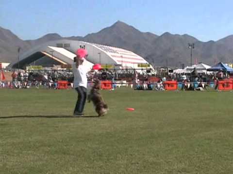 Christi Campbell Sexton & Red Rocket Rider 2005 AWI