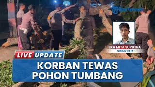 Pohon Tumbang di Pura Segara Penataran Ped, 1 Pemedek Dilaporkan Meninggal Dunia