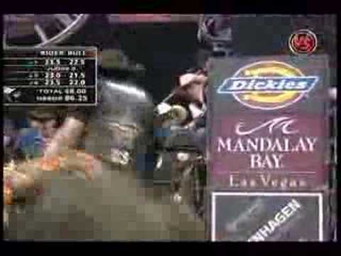 Adriano Moraes VS Say I Won't Gunner