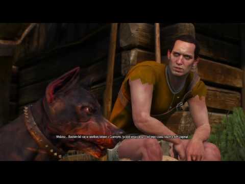 Let's play książkowego Geralta - Odcinek 8 - Ślepy i kulawy