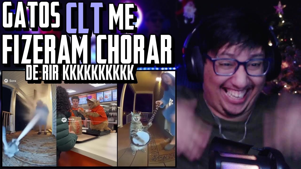 GATOS CRIADOS POR IA EM SITUAÇÕES ESTRANHAS KKKKKKKKKK #ia