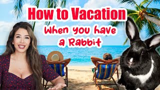 What to Do for Your Rabbit When You go Away on Vacation!