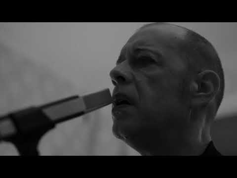 Vargen - Tar & Feathers (Official Music Video)