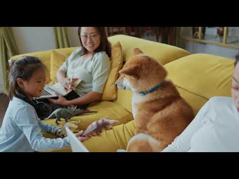 LITTLE GIRL PLAY WITH CUTE DOG