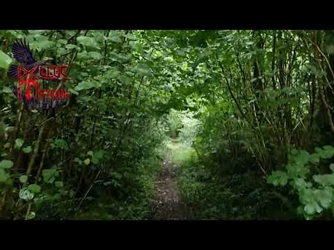 Gjallarhorn - The Horn of Heimdall | Nordic Viking Pagan Music