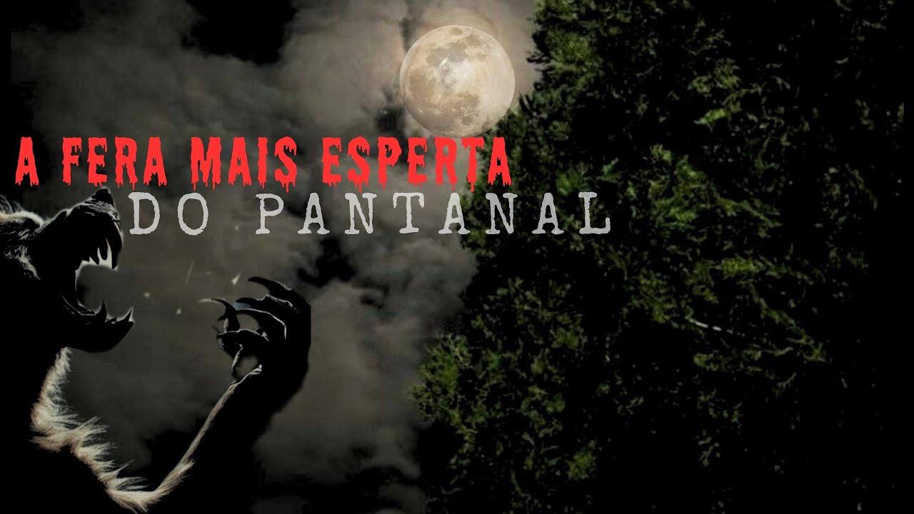 A FERA MAIS ESPERTA QUE JÁ ANDOU NO PANTANAL.