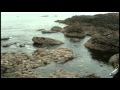 MUSICA PARA BEBES SONIDO D RELAJACION PARA INDUCIR AL SUEÑO