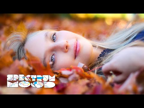 Midsplit - Sleep Cycle (feat. Kat Saul)