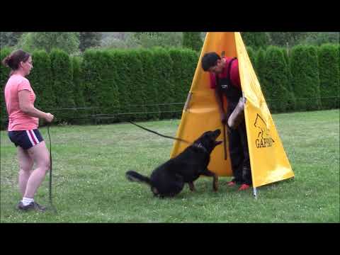 Artzain le Feu de Diablesse - summer camp 2017