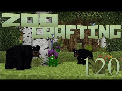 Bear Bumps 🐘 Zoo Crafting: Episode #120