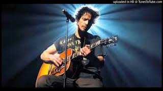 Chris Cornell  -  You Never Knew My Mind