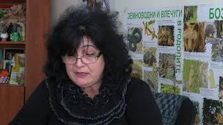 С 2000 лева е глобено предприятие за сглобяване на кабелни инсталации за автомобили в Димитровград