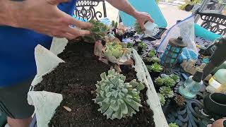 Making Huge Succulent Planters