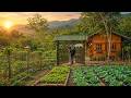 Full Video: A Former Officer Turns Wasteland into a Beautiful Farm in 150 Days