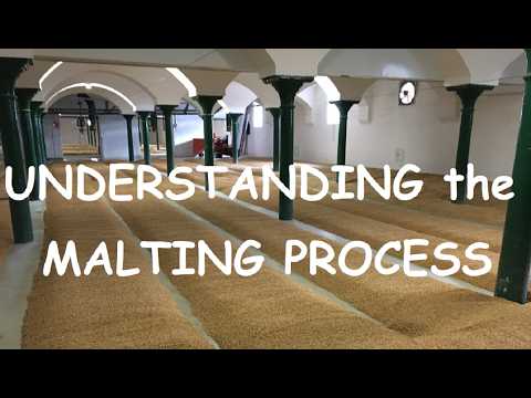 Gerstenmälzung: Schritt für Schritt vom Getreide zum Malz (Wie wird Malz hergestellt?) #Malz #Gerste