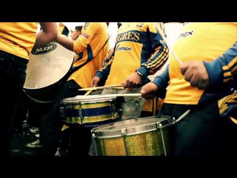 Hinchas de Tigres ¿Cual es su Profesión?