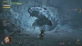 Monsterhunterwilds MTO
