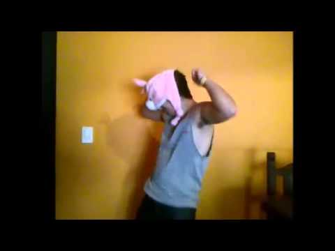 Ylvis - The Fox Gracioso