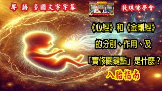 《心经》和《金刚经》的分别、作用、及「实修关键点」是什么？ (粤语中文字幕) 76慈悲心与菩提心的观修方法 啤吗哈尊金刚上师 敦珠佛学会
