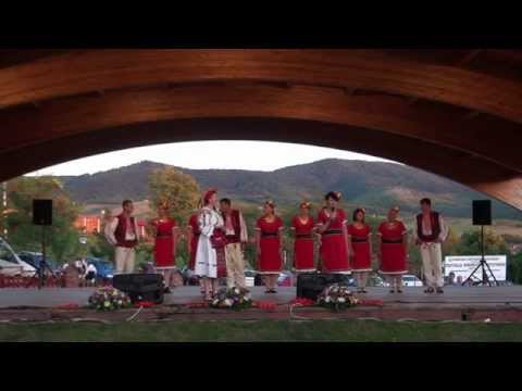 Festivalul Romanilor de Pretutindeni Covasint 2014 4