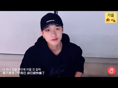 [Stray Kids Bang Chan] 201018 "燦尼的房"直播 推薦PENTAGON - Daisy片段 繁中字