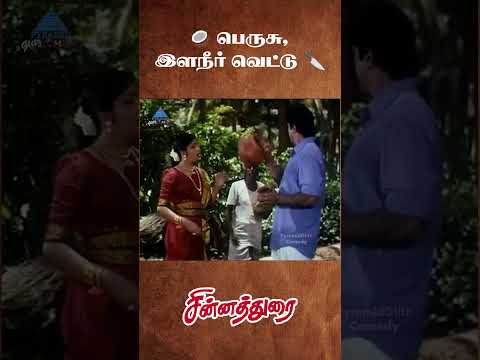 பெருசு, இளநீர் வெட்டு | Chinna Durai Movie Comedy | Sarathkumar | Roja | Sithara | #ytshorts