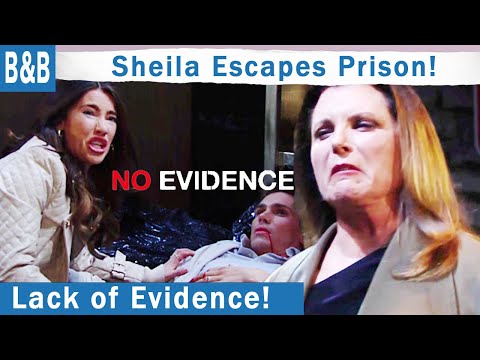 The Bold and The Beautiful Spoilers: Here's Why WE KNOW Sheila Ain't Getting imprisoned So Soon.