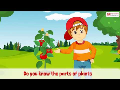 A Rhyme on 'Parts of a Plant' | Macmillan Education India