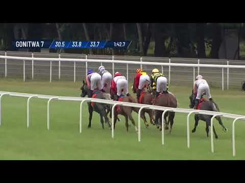 Dzień 17 - (30.06.2024) Tor Służewiec