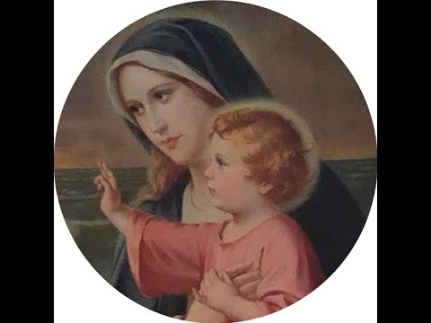 Transmissão ao vivo da Paróquia Madonna del Mare