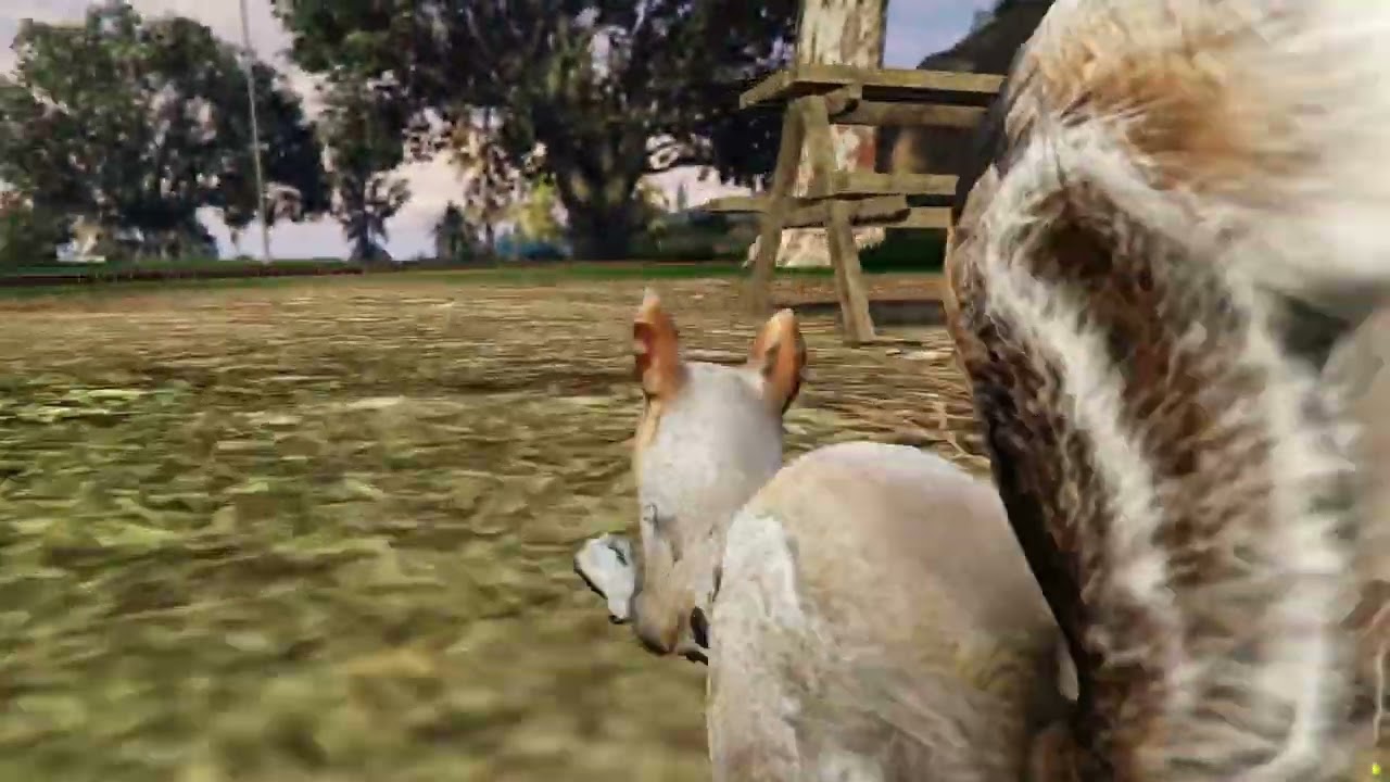 Squirrel - Addon Ped thumbnail 2