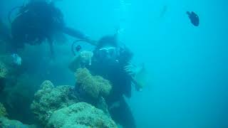 preview picture of video 'Andaman Nicobar Island scuba diving'