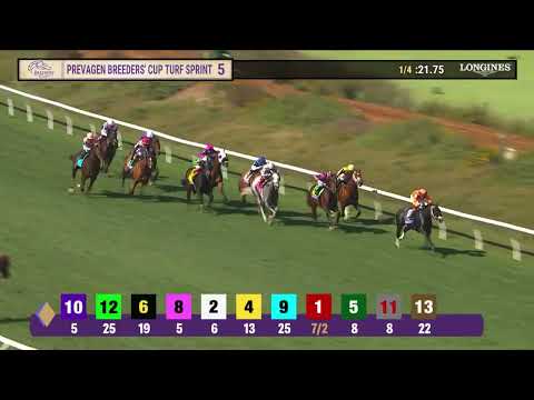 2025/11/2(日) ブリーダーズカップターフスプリント(G1)