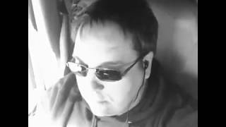 Holly leaves and Christmas trees