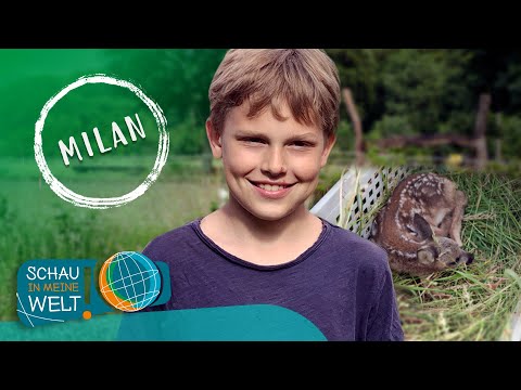 Milan und die Rehkitze: Wie ein 11-Jähriger kleine Rehe rettet | Schau in meine Welt! | KiKA.de