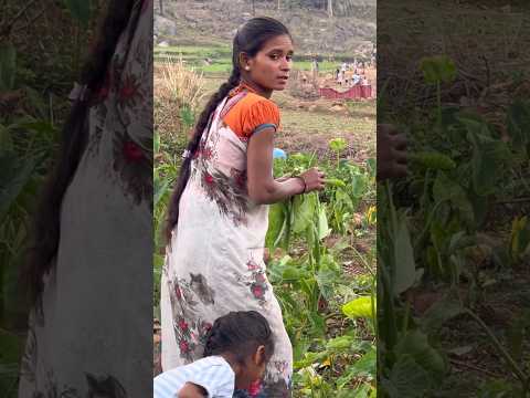 సారకురా సమ బువ్వ