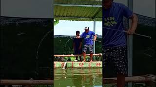 Download lagu emang sudah spesialis jekpot babon bawal #viralshort #mancing #fishing #ikan mp3 Download lagu emang sudah spesialis jekpot babon bawal #viralshort #mancing #fishing #ikan mp3