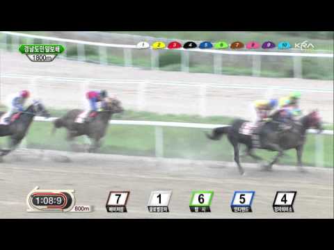 Gyeongnam Do Min Ilbo Stakes - Indie Band