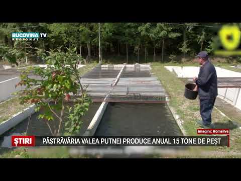 Pastravaria Valea Putnei produce anual 15 tone de peste