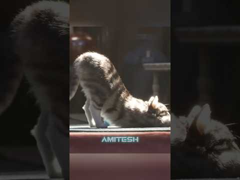 Гипер реалистичная графика