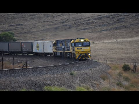 4MP5 with NR7-NR42-NR117 climb up Callington Curve 26/01/2023