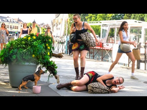 TOP 10 MOST SHOCKING BUSHMAN PRANK REACTIONS