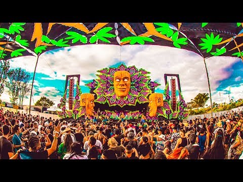 BAOBÁ FESTIVAL 2019 (oficial)