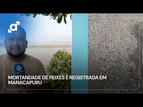 Mortandade de peixes é registrada em Manacapuru