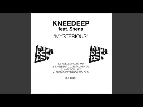 Mysterious (feat. Shena) (Fred Everything Lazy Dub)