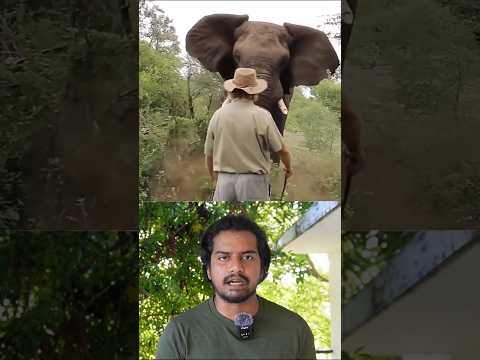 🐘Lawrence Anthony The Elephant Whisperer Who Saved a Herd // Sri info (Tamil)