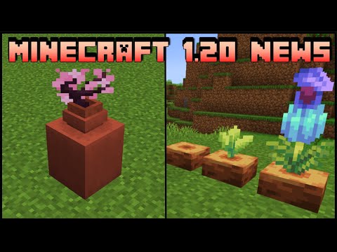 Minecraft 1.20 News - 1.19.4 Pre-Release 2 & More Ancient Flowers!