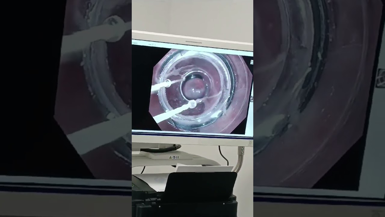 José G. López Fuentes-2